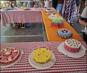 805 jaar Schelluinen - fotoverslag